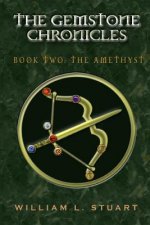 The Gemstone Chronicles Book Two: The Amethyst