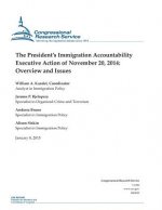 The President's Immigration Accountability Executive Action of November 20, 2014: Overview and Issues