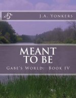 Meant To Be: Gabe's World: Book IV