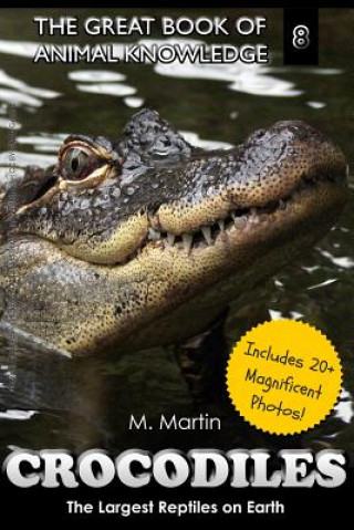 Crocodiles: The Largest Reptiles on Earth