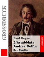 L'Arrabbiata / Andrea Delfin (Großdruck): Zwei Novellen