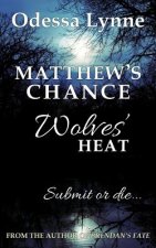 Matthew's Chance