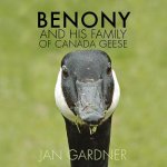Benony and His Family of Canada Geese
