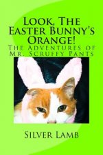 Look, The Easter Bunny's Orange: The Adventures of Mr. Scruffy Pants