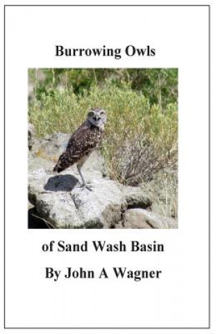 Burrowing Owls of Sand Wash Basin