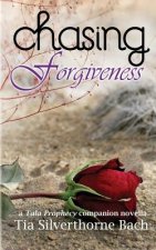 Chasing Forgiveness: A Companion Novella