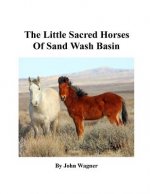 Little Sacred Horses of Sand Wash Basin