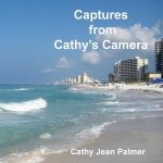 Captures from Cathy's Camera: A glimpse of the beauty of Panama City Beach, Florida
