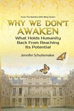 Why We Don't Awaken: What Holds Humanity Back From Reaching Its Potential