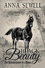Black Beauty, The Autobiography of a Horse: Illustrated