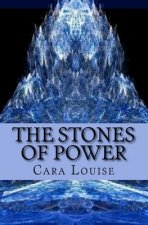 The Stones of Power: The 2nd in The Beast of Biddersley Grange Trilogy