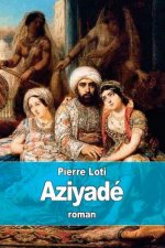 Aziyadé: Jeune femme appartenant au harem d'un dignitaire turc