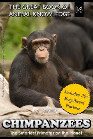 Chimpanzees: The Smartest Primates on the Planet (includes 20+ magnificent photos!)