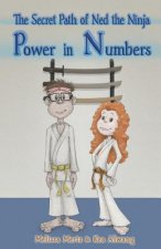The Secret Path of Ned the Ninja: Power in Numbers