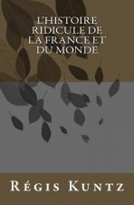 l'histoire ridicule de la France et du monde