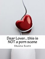 Dear Lover...this is NOT a porn scene: a 'real life' workbook for lovers