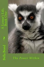 A Lemur's Life