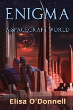 Enigma: A Spacecraft World