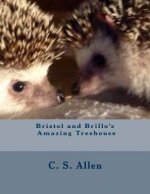 Bristol and Brillo's Amazing Treehouse: The Hedgehog Sisters