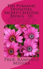 The Puraanic Divinities, Sacred Celestial Beings - III: Divinities Of Today's Popular Hinduism - The Mini Encyclopedia Of Original Hinduism