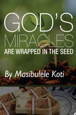 God's Miracles are Wrapped In The Seed: The book about giving