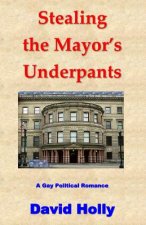 Stealing the Mayor's Underpants: A Gay Political Romance