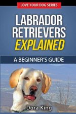Labrador Retrievers Explained: A Beginner's Guide