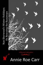 Nan Sherwood's Winter Holidays; Or, Rescuing the Runaways