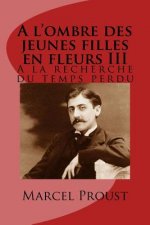 A l'ombre des jeunes filles en fleurs III: A la recherche du temps perdu