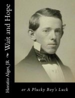 Wait and Hope: or A Plucky Boy's Luck