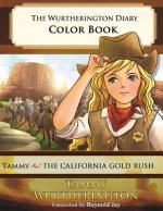 The Wurtherington Diary Color Book