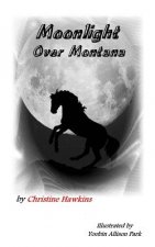 Moonlight over Montana
