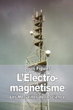 L'Électro-magnétisme