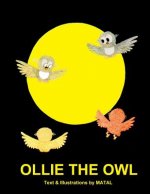 Ollie the Owl: An Illustrated Bedtime Story for Kids about a Little Owl's Night and Day Adventure
