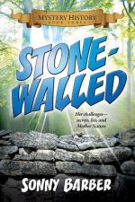 Stonewalled: Mystery History Book Three