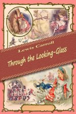 Through the Looking-Glass