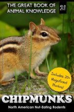 Chipmunks: North American Nut-Eating Rodents