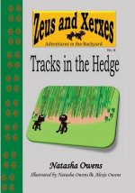 Tracks in the Hedge