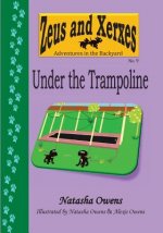 Under the Trampoline