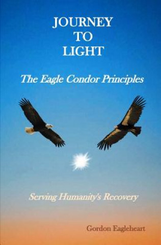 Journey to Light - The Eagle Condor Principles: Serving Humanity's Recovery