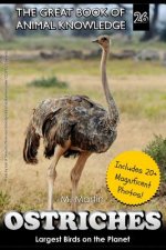 Ostriches: Largest Birds on the Planet