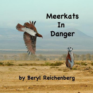 Meerkats In Danger