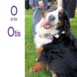 O is for Otis