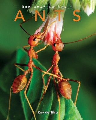 Ants: Amazing Pictures & Fun Facts on Animals in Nature