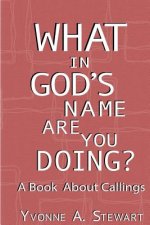 What In God's Name Are You Doing?: A Book About Callings