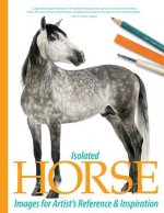 Isolated Horse Images for Artist's Reference and Inspiration