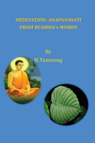 Meditation: Anapanasati From Buddha's words
