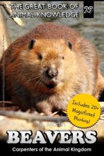 Beavers: Carpenters of the Animal Kingdom