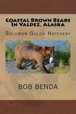 Coastal Brown Bears In Valdez, Alaska: Solomon Gulch Hatchery