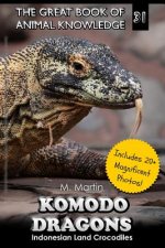 Komodo Dragons: Indonesian Land Crocodiles
